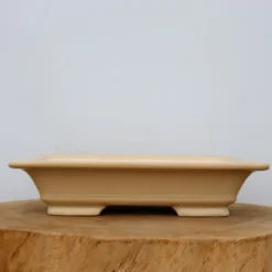 11-Inch Glazed Yixing Bonsai Pot (No. 2309a) 8 11-Inch Glazed Yixing Bonsai Pot (No. 2309a) -Home Decor Items Store IMG 9132 17051.1677526475
