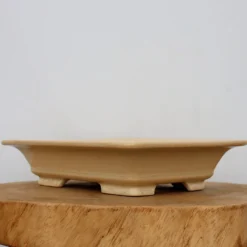 11-Inch Glazed Yixing Bonsai Pot (No. 2309a)