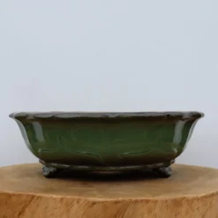12-Inch Glazed Yixing Bonsai Pot (No. 2321a) -Home Decor Items Store IMG 9210 87699.1678135759