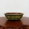 12-Inch Glazed Yixing Bonsai Pot (No. 2321j)