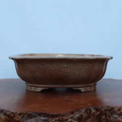 13-Inch Glazed Yixing Bonsai Pot (No. 2323e) 11 13-Inch Glazed Yixing Bonsai Pot (No. 2323e) -Home Decor Items Store IMG 9405 75620.1679502554