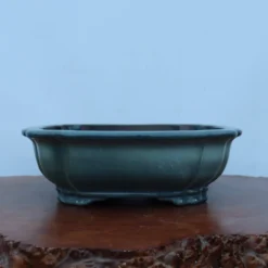 13-Inch Glazed Yixing Bonsai Pot (No. 2323f) -Home Decor Items Store IMG 9411 43404.1679502639