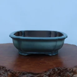 13-Inch Glazed Yixing Bonsai Pot (No. 2323f) -Home Decor Items Store IMG 9412 41430.1679502639