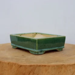 6-Inch Glazed Yixing Bonsai Pot (No. 2326)