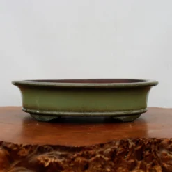 13-Inch Glazed Yixing Bonsai Pot (No. 2299h) 11 13-Inch Glazed Yixing Bonsai Pot (No. 2299h) -Home Decor Items Store IMG 9528 54292.1683048969