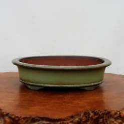 13-Inch Glazed Yixing Bonsai Pot (No. 2299h) 8 13-Inch Glazed Yixing Bonsai Pot (No. 2299h) -Home Decor Items Store IMG 9529 80789.1683048969