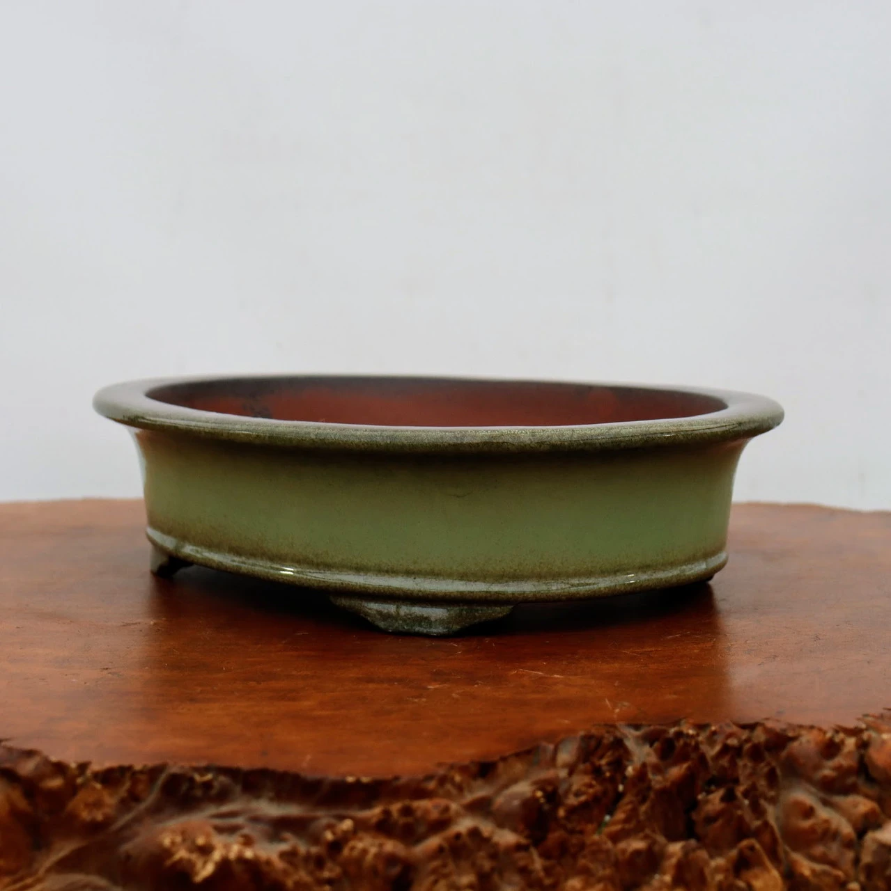 13-Inch Glazed Yixing Bonsai Pot (No. 2299h) 1 13-Inch Glazed Yixing Bonsai Pot (No. 2299h)