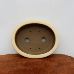 13-Inch Glazed Yixing Bonsai Pot (No. 2299i) 10 13-Inch Glazed Yixing Bonsai Pot (No. 2299i) -Home Decor Items Store IMG 9538 59991.1683049117