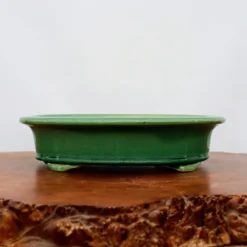 13-Inch Glazed Yixing Bonsai Pot (No. 2299k) 11 13-Inch Glazed Yixing Bonsai Pot (No. 2299k) -Home Decor Items Store IMG 9546 87583.1683049287