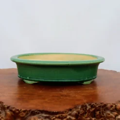 13-Inch Glazed Yixing Bonsai Pot (No. 2299k) 8 13-Inch Glazed Yixing Bonsai Pot (No. 2299k) -Home Decor Items Store IMG 9547 71403.1683049287