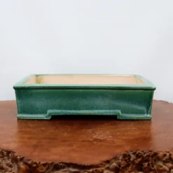 13-Inch Glazed Yixing Bonsai Pot (No. 2298j) 11 13-Inch Glazed Yixing Bonsai Pot (No. 2298j) -Home Decor Items Store IMG 9595 92672.1683050702