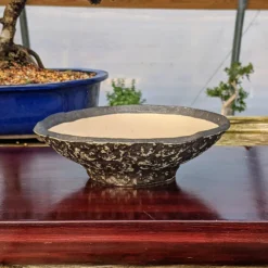 6" Andy Arnault Hand Made Pot (AA01) -Home Decor Items Store PXL 20210108 184645508.MP2 94315.1610222963