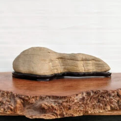 Suiseki Mountain Viewing Stone "Yamagata-ishi" (17" X 4.75") -Home Decor Items Store PXL 20210122 161950264 81678.1611355127