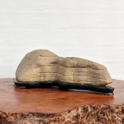 Suiseki Mountain Viewing Stone "Yamagata-ishi" (17" X 4.75") -Home Decor Items Store PXL 20210122 162004976 94866.1611355120