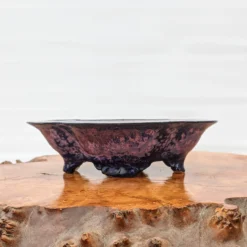 6" Bonsai Pot By Roy Minarai - American Handmade (18) -Home Decor Items Store PXL 20210203 174839472 69934.1613760611 1