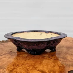 6" Bonsai Pot By Roy Minarai - American Handmade (18) -Home Decor Items Store PXL 20210203 174852712 29096.1613760601