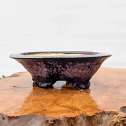 6" Bonsai Pot By Roy Minarai - American Handmade (18) -Home Decor Items Store PXL 20210203 174910201 13485.1613760612