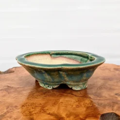 6" Bonsai Pot By Roy Minarai - American Handmade (20) -Home Decor Items Store PXL 20210203 175428892 61646.1613760115
