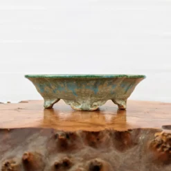 5" Bonsai Pot By Roy Minarai - American Handmade (22) 10 5" Bonsai Pot By Roy Minarai - American Handmade (22) -Home Decor Items Store PXL 20210203 175824518 40072.1612621615