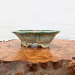 5" Bonsai Pot By Roy Minarai - American Handmade (22) 9 5" Bonsai Pot By Roy Minarai - American Handmade (22) -Home Decor Items Store PXL 20210203 175841468 85462.1612621615