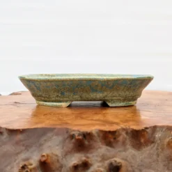 5" Bonsai Pot By Roy Minarai - American Handmade (23) 8 5" Bonsai Pot By Roy Minarai - American Handmade (23) -Home Decor Items Store PXL 20210203 175924309 22458.1612621349