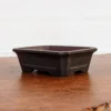 6" Yixing Bonsai Pot (No. 542)