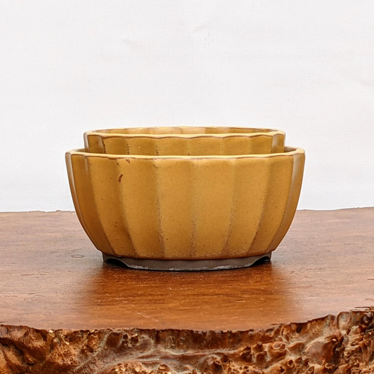 Yellow (round) Glazed Bonsai Pot (No. 04-31) 1 Yellow (round) Glazed Bonsai Pot (No. 04-31)