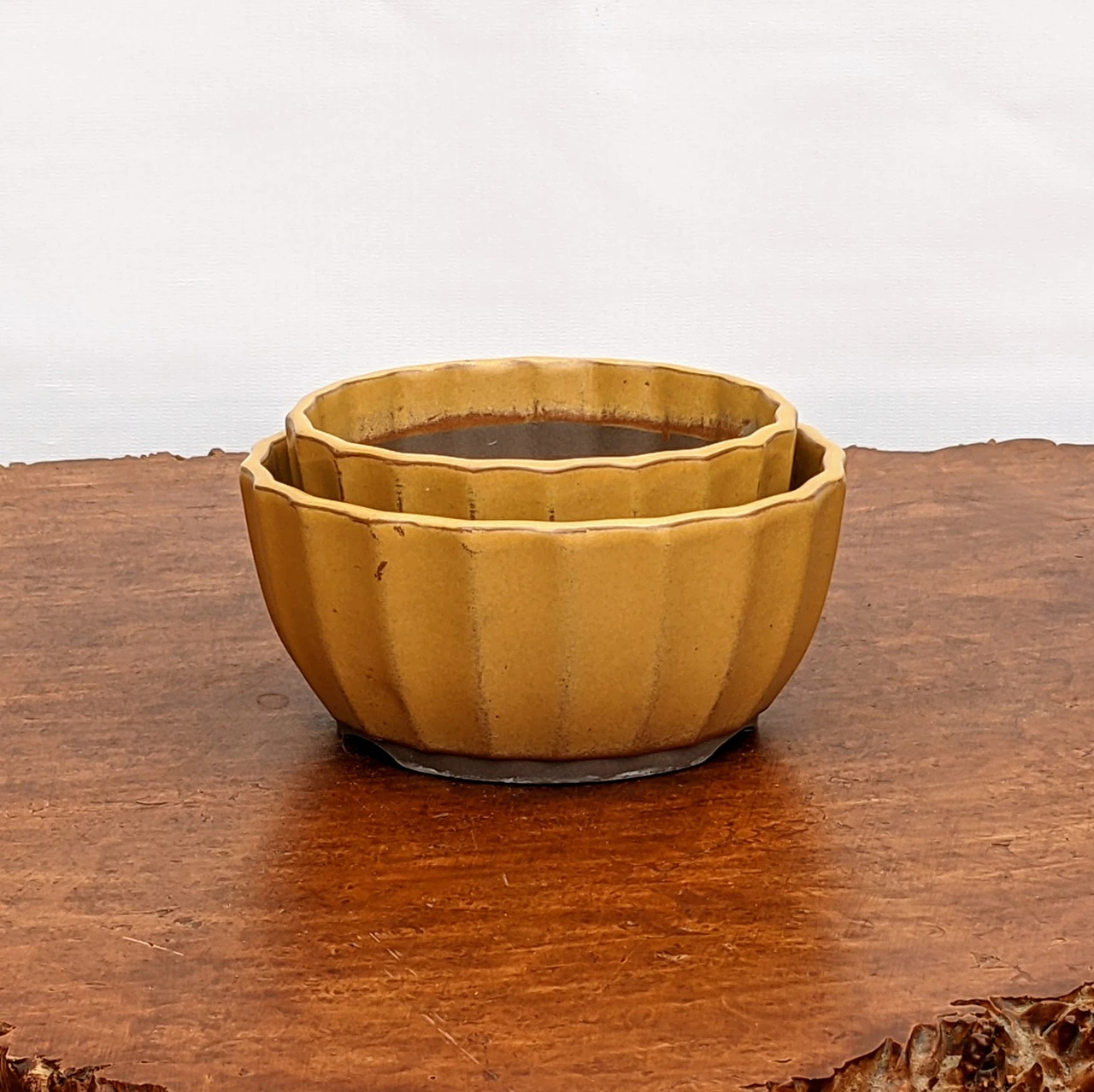 Yellow (round) Glazed Bonsai Pot (No. 04-31) 4 Yellow (round) Glazed Bonsai Pot (No. 04-31) - Image 4