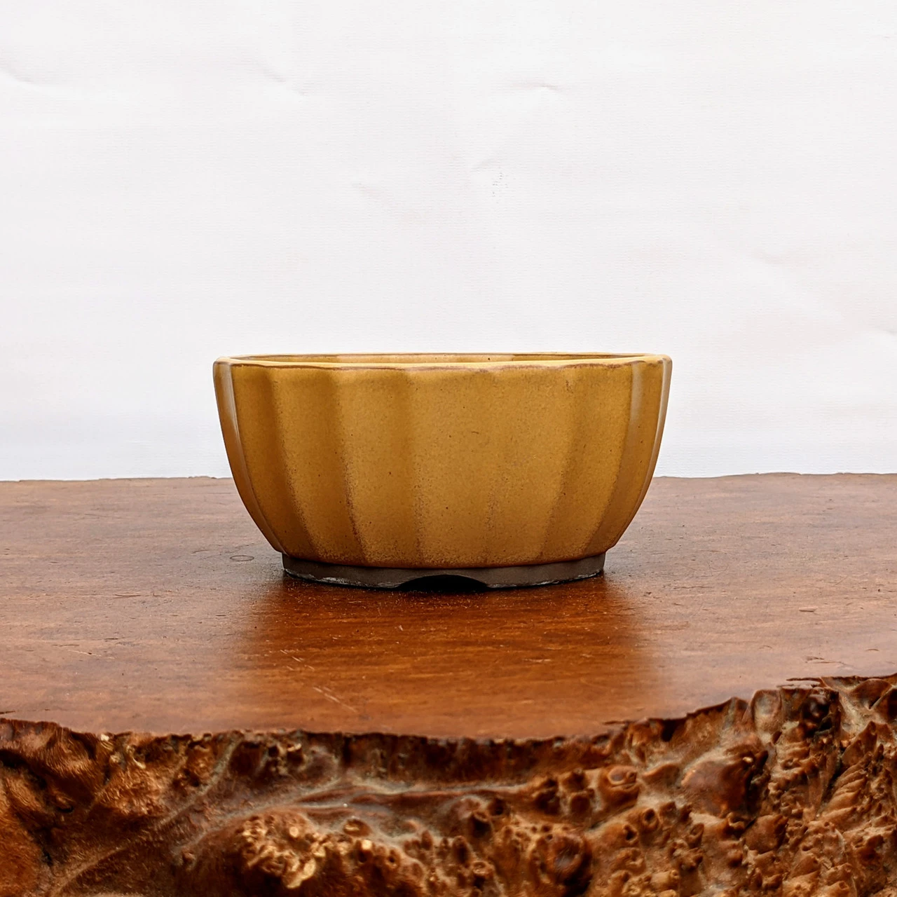 Yellow (round) Glazed Bonsai Pot (No. 04-31) 2 Yellow (round) Glazed Bonsai Pot (No. 04-31) - Image 2
