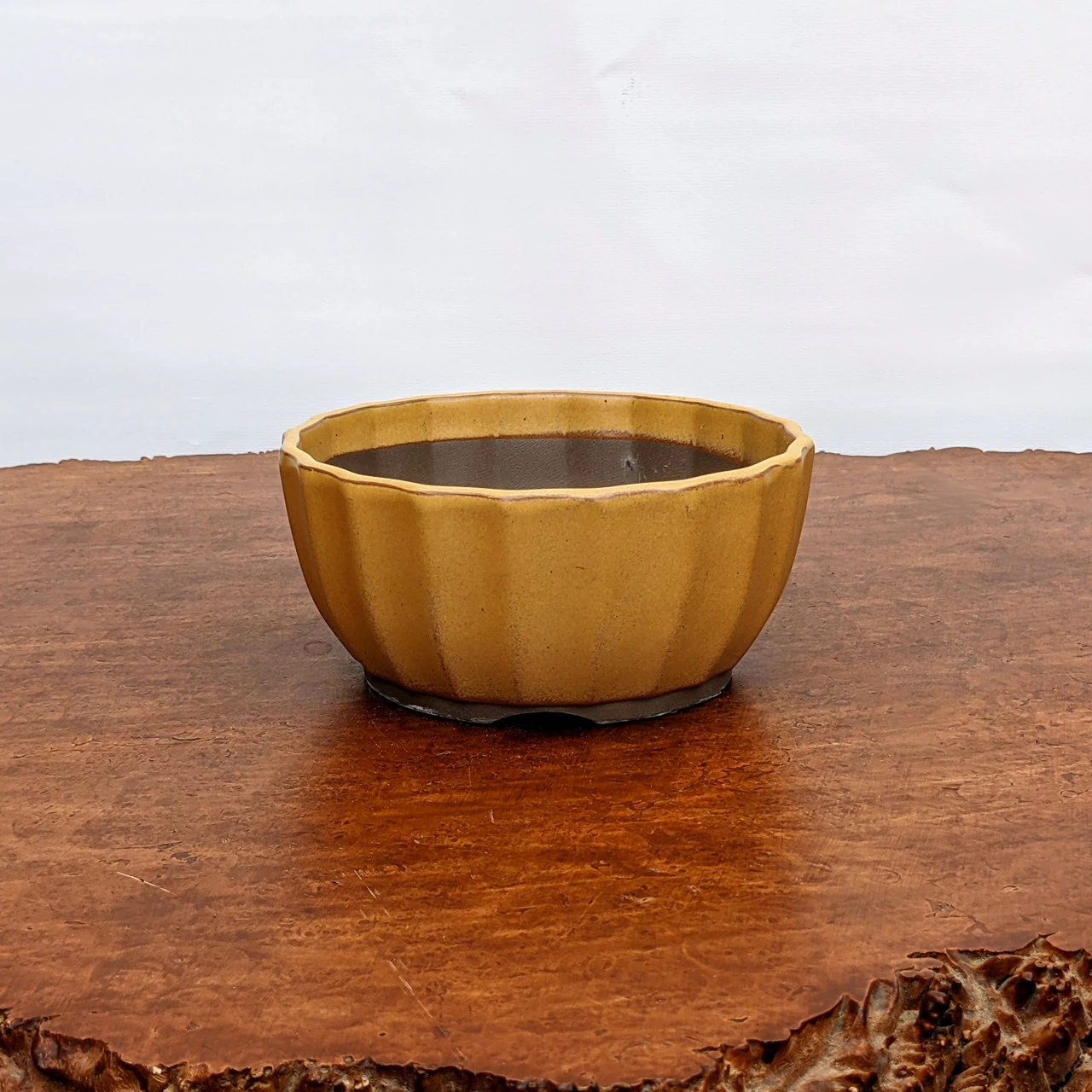 Yellow (round) Glazed Bonsai Pot (No. 04-31) 5 Yellow (round) Glazed Bonsai Pot (No. 04-31) - Image 5