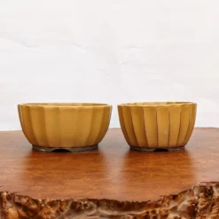 Yellow (round) Glazed Bonsai Pot (No. 04-31) 11 Yellow (round) Glazed Bonsai Pot (No. 04-31) -Home Decor Items Store PXL 20210617 165813653.NIGHT2 27831.1625332777