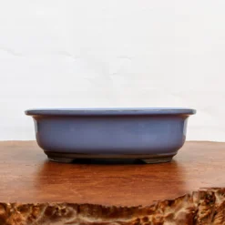 Light Blue (oval) Glazed Bonsai Pot (7-11") -Home Decor Items Store PXL 20210617 170150275.NIGHT2 64885.1624113831