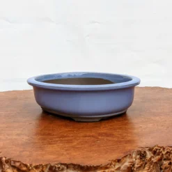 Light Blue (oval) Glazed Bonsai Pot (7-11") -Home Decor Items Store PXL 20210617 170213982.NIGHT2 48396.1624113827