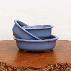 Light Blue (oval) Glazed Bonsai Pot (7-11") -Home Decor Items Store PXL 20210617 170723624.NIGHT2 26381.1624113794