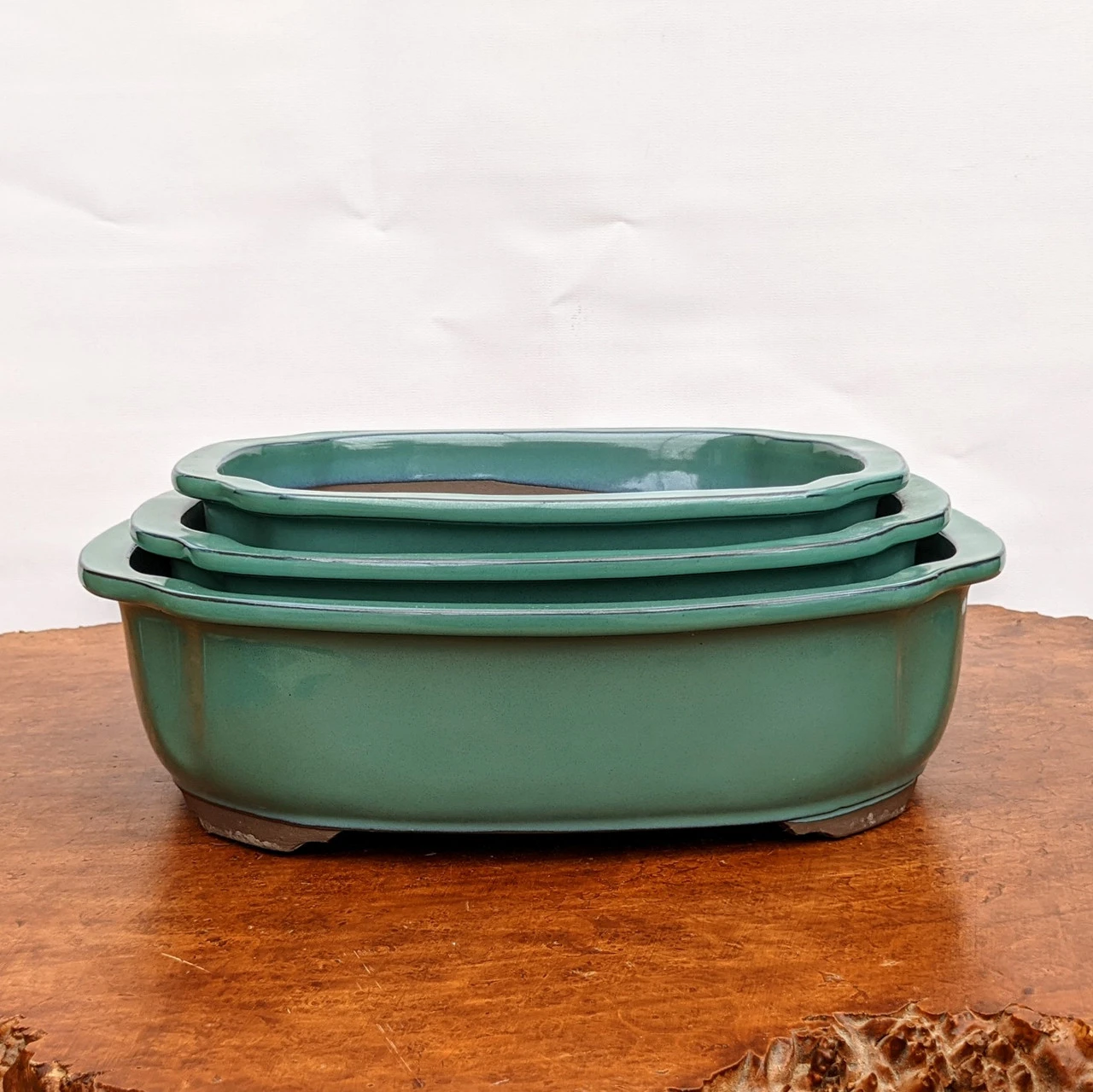 Light Green Ceramic Japanese Bonsai Pot (Choose Size) 4 Light Green Ceramic Japanese Bonsai Pot (Choose Size) - Image 4