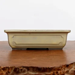 6-9" Cream Glazed Japanese Bonsai Pot (No. 292) 11 6-9" Cream Glazed Japanese Bonsai Pot (No. 292) -Home Decor Items Store PXL 20210621 170943119.NIGHT2 83788.1653317835