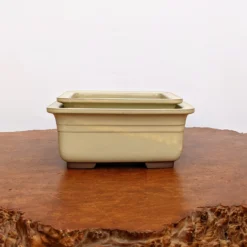 Cream Glazed Rectangle Japanese Bonsai Pot (Choose Size) -Home Decor Items Store PXL 20210621 171840756.NIGHT2 41621.1626207317