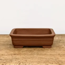 8" Yixing Bonsai Pot (No. 116) 8 8" Yixing Bonsai Pot (No. 116) -Home Decor Items Store PXL 20210726 191318826.NIGHT2 93351.1631591481