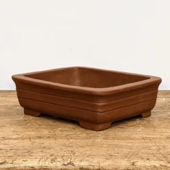 8" Yixing Bonsai Pot (No. 116) 9 8" Yixing Bonsai Pot (No. 116) -Home Decor Items Store PXL 20210726 191338139.NIGHT2 61087.1631591481