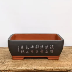 13" Etched Yixing Bonsai Pot (No. 1716) -Home Decor Items Store PXL 20210824 193535846.NIGHT2 25131.1631894351
