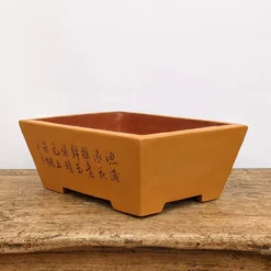 13" Etched Yixing Bonsai Pot (No. 1717) -Home Decor Items Store PXL 20210824 193746589.NIGHT2 58588.1631894660