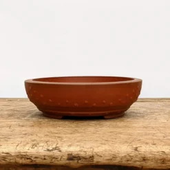 6" Unglazed Yixing Bonsai Pot (No. 1783) 10 6" Unglazed Yixing Bonsai Pot (No. 1783) -Home Decor Items Store PXL 20210825 172848729.NIGHT2 89355.1632337826 1