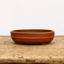 6" Unglazed Yixing Bonsai Pot (No. 1833) 8 6" Unglazed Yixing Bonsai Pot (No. 1833) -Home Decor Items Store PXL 20210825 173241104.NIGHT2 87481.1632338195