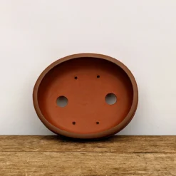 6" Unglazed Yixing Bonsai Pot (No. 1833) 11 6" Unglazed Yixing Bonsai Pot (No. 1833) -Home Decor Items Store PXL 20210825 173316725.NIGHT2 51320.1632338196