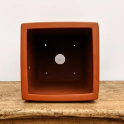 9" Etched Cascade Yixing Bonsai Pot (No. 1836) -Home Decor Items Store PXL 20210825 175524839.NIGHT2 45868.1635363562