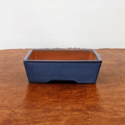 5" Blue Glazed Yixing Bonsai Pot (No. 1868) -Home Decor Items Store PXL 20210831 192912257.NIGHT2 25330.1666968619