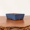 5" Blue Glazed Yixing Bonsai Pot (No. 1868)