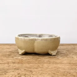 6" Cream Glazed Yixing Bonsai Pot (No. 1883) -Home Decor Items Store PXL 20210901 170013350.NIGHT2 20241.1634474654