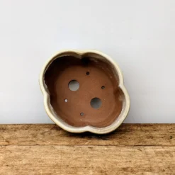 6" Cream Glazed Yixing Bonsai Pot (No. 1883) -Home Decor Items Store PXL 20210901 170029171.NIGHT2 84757.1634474661