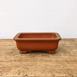 7" Unglazed Yixing Bonsai Pot (No. 1745) -Home Decor Items Store PXL 20210901 190015960.NIGHT2 74990.1634476303
